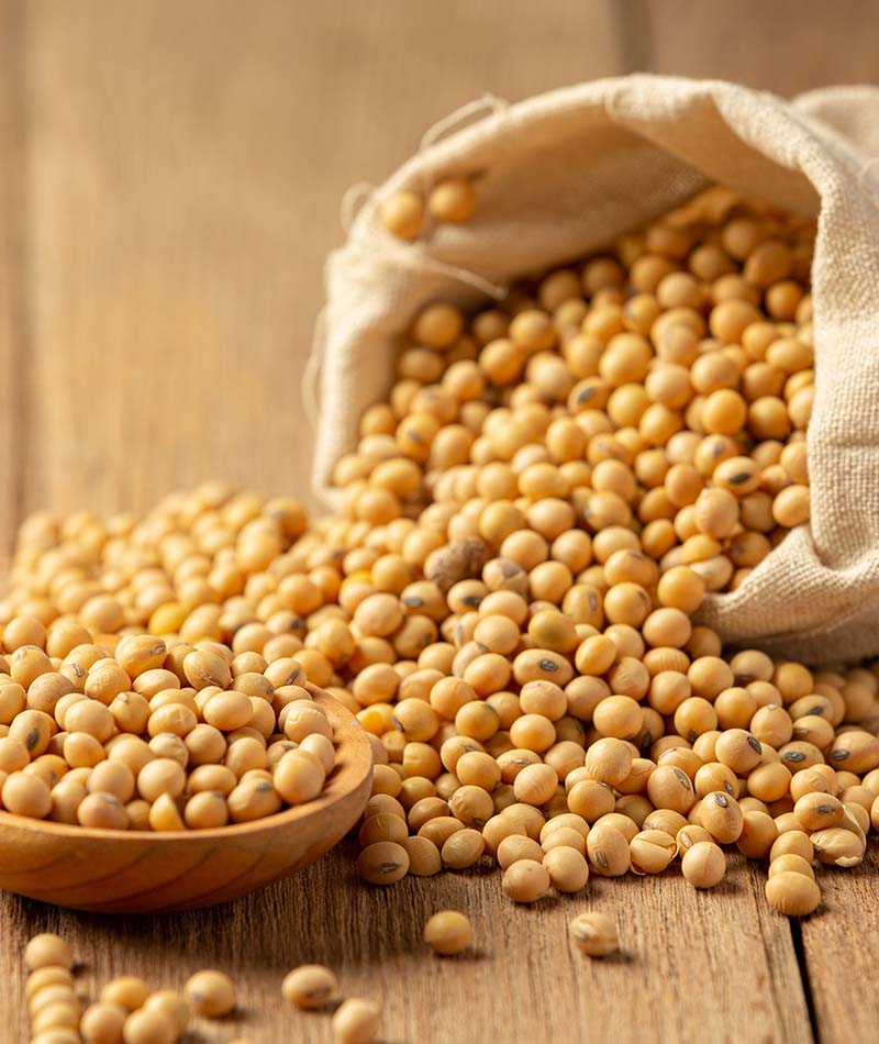 Blog Kacang 1