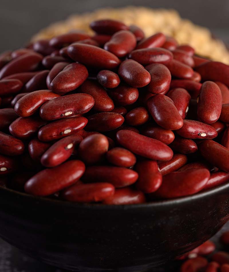 Blog Kacang 2