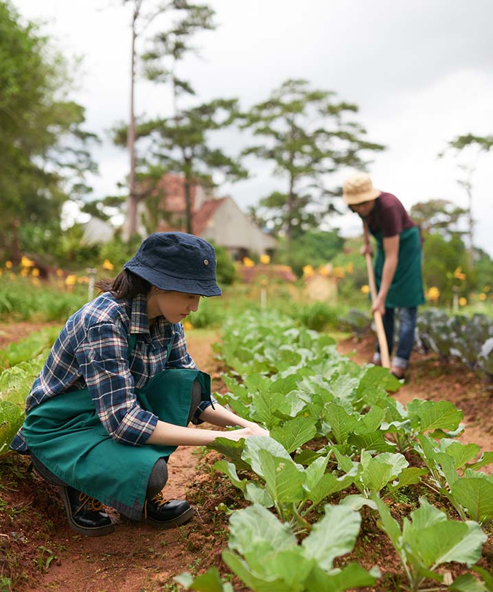 Petani Paten